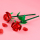LEGO BOTANICALS 40460 Róże - 1473434 - zdjęcie 4
